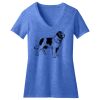 Women's Perfect Blend ® V Neck Tee Thumbnail