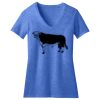 Women's Perfect Blend ® V Neck Tee Thumbnail