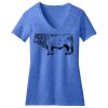 Women's Perfect Blend ® V Neck Tee Thumbnail