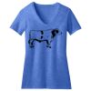 Women's Perfect Blend ® V Neck Tee Thumbnail