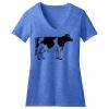 Women's Perfect Blend ® V Neck Tee Thumbnail