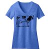 Women's Perfect Blend ® V Neck Tee Thumbnail