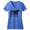 Women's Perfect Blend ® V Neck Tee Thumbnail