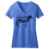 Women's Perfect Blend ® V Neck Tee Thumbnail