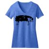 Women's Perfect Blend ® V Neck Tee Thumbnail