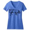 Women's Perfect Blend ® V Neck Tee Thumbnail
