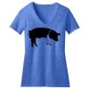 Women's Perfect Blend ® V Neck Tee Thumbnail