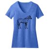 Women's Perfect Blend ® V Neck Tee Thumbnail