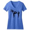 Women's Perfect Blend ® V Neck Tee Thumbnail