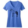 Women's Perfect Blend ® V Neck Tee Thumbnail