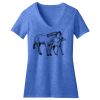 Women's Perfect Blend ® V Neck Tee Thumbnail