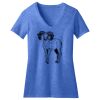 Women's Perfect Blend ® V Neck Tee Thumbnail