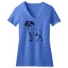 Women's Perfect Blend ® V Neck Tee Thumbnail