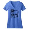 Women's Perfect Blend ® V Neck Tee Thumbnail