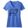 Women's Perfect Blend ® V Neck Tee Thumbnail
