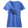 Women's Perfect Blend ® V Neck Tee Thumbnail