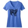 Women's Perfect Blend ® V Neck Tee Thumbnail