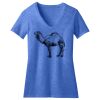 Women's Perfect Blend ® V Neck Tee Thumbnail
