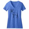 Women's Perfect Blend ® V Neck Tee Thumbnail