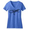 Women's Perfect Blend ® V Neck Tee Thumbnail