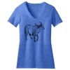 Women's Perfect Blend ® V Neck Tee Thumbnail