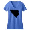 Women's Perfect Blend ® V Neck Tee Thumbnail