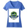 Women's Perfect Blend ® V Neck Tee Thumbnail